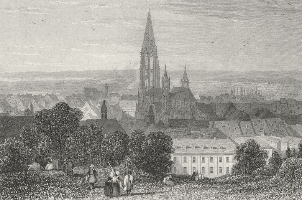 SWITZERLAND. Freiburg. Germany. Tombleson cows 1830 old antique print picture